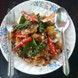 ป๋ามาศอาหารป่า - ถนนเลียบนคร