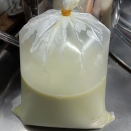 เต้าหู้ชาเขียว