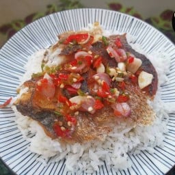 กินเกลี้ยง ข้าวปลาแกะ