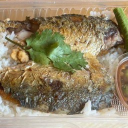 ข้าวหน้าปลาทูแกะ