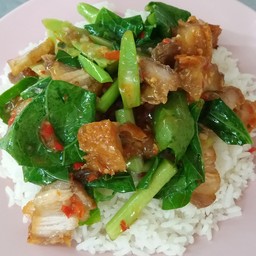คะน้าหมูกรอบ ราดข้าว