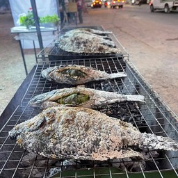อ้อนปลาเผาส้มตำเลียศอก