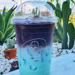 โกโก้ มินท์