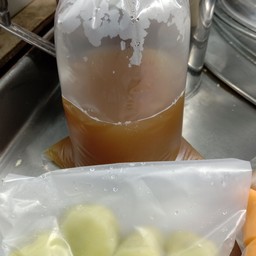 บัวลอยน้ำขิง