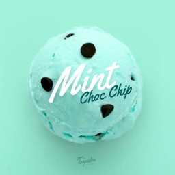 มิ้นท์ ช็อกโกแลตชิพ