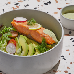 Salmon Cilantro Yoghurt Salad