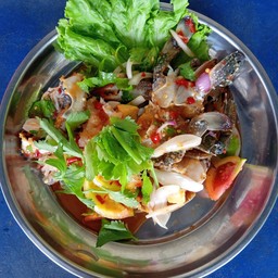 ยำกุ้งสด