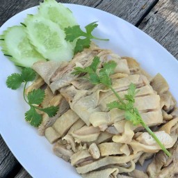 ข้าวมันไก่ กินลำ จำบอน  สาขา 2 คูเมือง