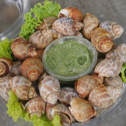 ึหอยหวาน เผา