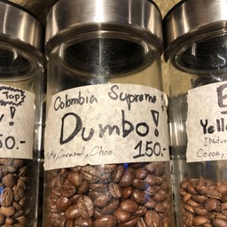 Latte - Colombia Dumbo