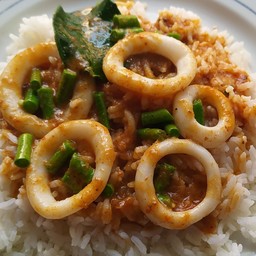 ข้าวราดพริกแกงปลาหมึก