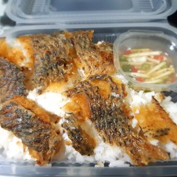 ข้าวปลาทอด by fish ซอยวัดเกาะ