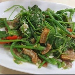 ยอดมะระแม้วน้ำมันหอย