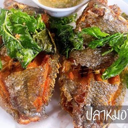 ปลาหมอทอดกระเทียม ( 1 ตัว )