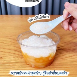 ปลากริมไข่เต่า