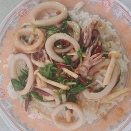 ข้าวกะเพราหมึก