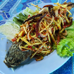 ปลาช่อนลุยสวน