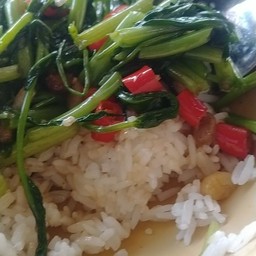 อาหารตามสั่ง ป้าขวัญ เจ้าเก่า