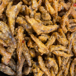 ปลากรอบ