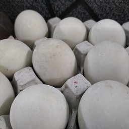 ไข่เค็มฟองละ