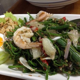 ยำผักกูดกุ้งสด ไข่ต้ม