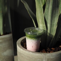 มัทฉะ โรส (เย็น)