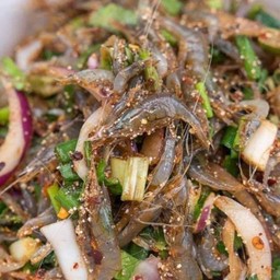 กุ้งเต้นคุนดา เช้าที่บ้านปางวิมาน2  ตอนเย็นหน้าวัดหนองปลาขอ