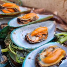 หอยแมลงภู่นึ่ง