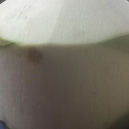 มะพร้าวนมสดปั่น