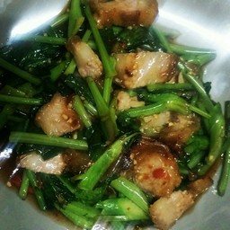 คะน้าปลากระป๋อง