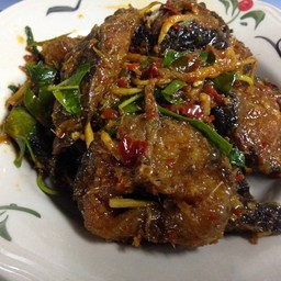 ผัดเผ็ดปลาดุก(กับข้าว)