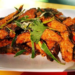 ฉู่ฉี่ปลา เจ