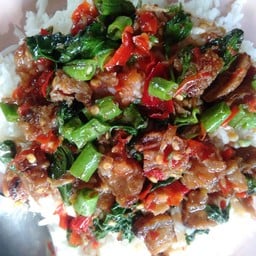 กระเพราหมูกรอบราดข้าว