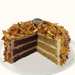 คอฟแอนด์ช็อค เจนัว 7.5 นิ้ว (2 ปอนด์)