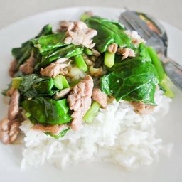 ผัดคะน้าน้ำมันหอย(ราดข้าว)