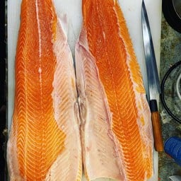 แซลมอนแล่ซาชิมิ ครึ่งตัว พร้อมทาน