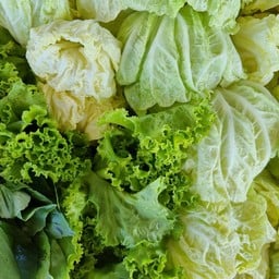 รวมผักสด