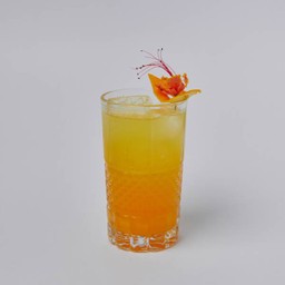 Orange Tonic - DL