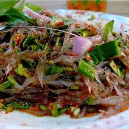 ยำกุ้งเต้น แซ่บสะดุ้ง ปิ่นเกล้า