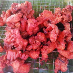 นรินทร์ไก่ทอด ป่าแดด