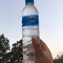 น้ำเปล่า