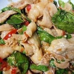 ผัดกระเพราหมูสามชั้นพริกแห้ง