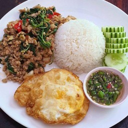 ผัดกระเพรา ราดข้าว+ไข่ดาว