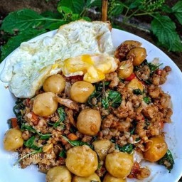 ข้าวผัดกระเพราลูกชิ้นหมูสับ ไข่ดาว