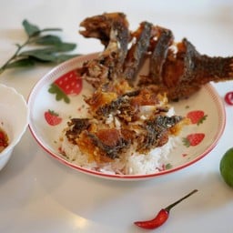 ข้าวปลาแกะ และ ของกินเล่น by ครัวเบลอาหารบ้านๆ