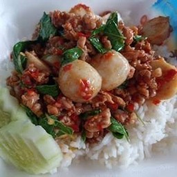 ข้าวผัดกระเพราลูกชิ้นหมูสับ