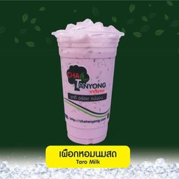 เผือกหอมนมสด