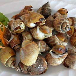 หอยหวานเผา