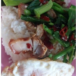 ร้านป้าทิพย์ตามสั่ง เยื้องตึกเจมส์ ใต้ทางด่วน