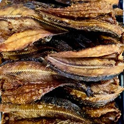 ปลาดุกแดดเดียวทอด